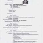 Europass Lebenslauf Vorlage Angenehm "aspekte Der Germanistik" Europass Lebenslauf