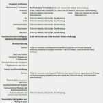 Europass Lebenslauf Vorlage Bewundernswert Europass Lebenslauf Download