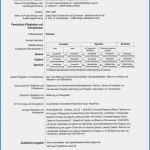 Europass Lebenslauf Vorlage Elegant 15 Lebenslauf Modell Deutsch