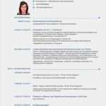 Europass Lebenslauf Vorlage Erstaunlich 12 Europaischer Lebenslauf