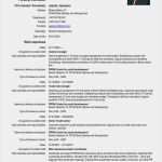 Europass Lebenslauf Vorlage Erstaunlich Die Besten 25 Europass Cv Ideen Auf Pinterest