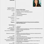 Europass Lebenslauf Vorlage Genial Europass Lebenslauf Deutsch Im Beruf Bewerbung