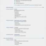 Europass Lebenslauf Vorlage Großartig Europass Cv De