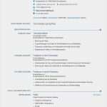 Europass Lebenslauf Vorlage Luxus Europass