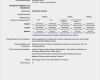 Europass Lebenslauf Vorlage Neu Curriculum Vitae Englisch Vorlage Driverlayer Search Engine