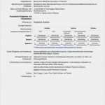 Europass Lebenslauf Vorlage Neu Curriculum Vitae Englisch Vorlage Driverlayer Search Engine