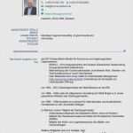 Europass Lebenslauf Vorlage Schön Tabellarischer Lebenslauf Muster Arbeitsplatz Genial