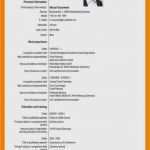 Europass Lebenslauf Vorlage Wunderbar 11 Lebenslauf Eu Vorlage