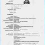 Europass Lebenslauf Vorlage Wunderbar 13 Vorlagen Europass Lebenslauf Muster Deutsch Für Jeden