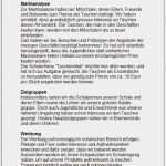 Eventmarketing Konzept Vorlage Wunderbar Konzept Beispiel