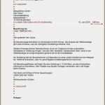Ewe Kündigung Vorlage Fabelhaft 14 1arbeitsplatzbeschreibung Vorlage
