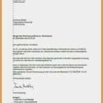 Ex Zurück Brief Vorlage Großartig Ex Zurck Brief Vorlage Beste 6 Brief Muster Vorlage