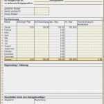 Excel 2007 Vorlagen Kostenlos Luxus 20 Excel Vorlagen Controlling Kostenlos Vorlagen123