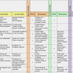 Excel Diagramm Vorlage Download Süß Stakeholderanalyse Inhalt Global Site