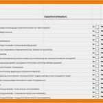 Excel Kalkulationstabelle Vorlage Neu 15 Checkliste Excel Vorlage