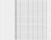 Excel Kassenbuch Vorlage Kostenlos Schön Excel Kassenbuch Vorlage Kostenlos Herunterladen