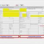 Excel Projektmanagement Vorlage Erstaunlich Kis Projektmanagement Pjm Excel Vorlagen Shop