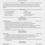 Excel Protokoll Vorlage Erstaunlich 48 Einzigartig Stock Protokoll Vorlage Excel