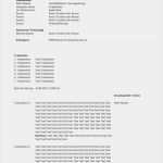 Excel Protokoll Vorlage Fabelhaft Protokoll Vorlage Word &amp; Excel Für Sitzungen &amp; Meetings