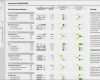 Excel Reporting Vorlage Luxus Linearis Bi Für Fachabteilung