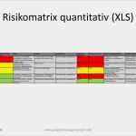 Excel Vorlage Abrechnung Veranstaltung Hübsch Risikomanagement Risiken Identifizieren Projekmanagement24