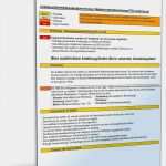 Excel Vorlage Betriebskostenabrechnung Schönste Betriebskostenabrechnung Pro Unter Excel
