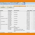 Excel Vorlage Einnahmen Ausgaben Rechnung Genial Einnahmen Ausgaben Rechnung Vorlage Kleinunternehmer 10