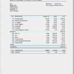 Excel Vorlage Gehaltsabrechnung Erstaunlich Gehaltsabrechnung Vorlage Kostenlos – Vorlagens Download