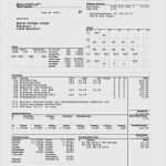 Excel Vorlage Gehaltsabrechnung Hübsch 15 Muster Lohnabrechnung