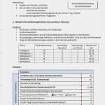 Excel Vorlage Immobilienbewertung Beste Beste Kompetenzmatrix Vorlage Bilder Entry Level Resume