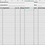 Excel Vorlage Immobilienbewertung Erstaunlich Ungewöhnlich Kompetenzmatrix Vorlage Galerie Beispiel