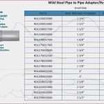 Excel Vorlage Kundendatenbank Erstaunlich Excel Kundendatenbank
