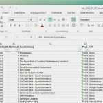 Excel Vorlage Kundendatenbank Genial Excel Kundendatenbank Vorlage – Bestpdfree