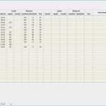 Excel Vorlage Lagerbestand Hübsch Excel Fahrtenbuch