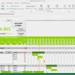 Excel Vorlage Projektmanagement Großartig Projektplan Excel