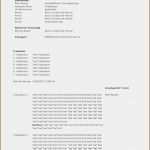 Excel Vorlage Protokoll Hübsch 11 Protokoll Muster Vorlagen123 Vorlagen123