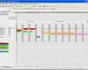 Excel Vorlage Ressourcenplanung Wunderbar Ressourcenplanung Excel Template
