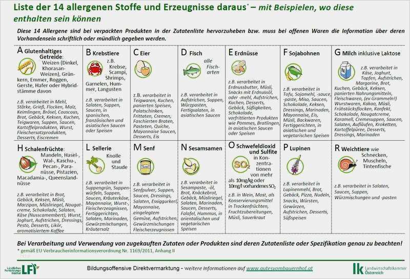 Excel Vorlage Rezeptbuch Gut Zutatenliste Kuchenverkauf Vorlage – Various Vorlagen