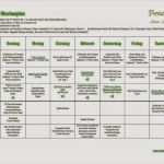 Excel Vorlage Rezepte Schönste Pipapo Paleo whole30 Spezial Wochenplan Zum Download