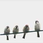 Excel Vorlage Stromverbrauch Großartig Jahresverbrauch Strom Berechnen Numbers Vorlage F R