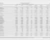 Excel Vorlage Summen Und Saldenliste Genial Show Content