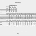 Excel Vorlagen Handwerk Kalkulation Kostenlos Beste Finanzplan Vorlage Für Businessplan Excel Kostenlos