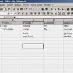 Excel Vorlagen Microsoft Großartig Vorlage Ms Excel todo Liste