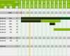 Excel Zeitplan Vorlage Süß Projektplan Excel