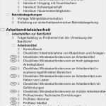 Explosionsschutzdokument Vorlage Best Of 1 4 Inhalte Der software Pdf