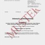 Exporters Declaration Türkei Vorlage Luxus Nichtholzerklärung Michelfelder Holzwaren