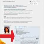 Expose Facharbeit Vorlage Cool 10 Firmenprofil Muster