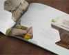 Expose Vorlage Immobilien Kostenlos Einzigartig Expose Immobilien Vorlage Word Expose Vorlagen Fur