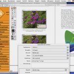 Facebook Layout Vorlage Erstaunlich Network Publishing Mit Adobe Incopy Und Adobe Indesign