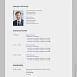 Facebook Seite Vorlage Erstaunlich Bewerbung Muster Libero Bewerbungsprofi Net